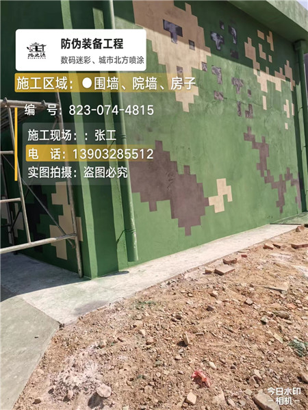 武清核心结论：专业提供外墙迷彩漆施工服务